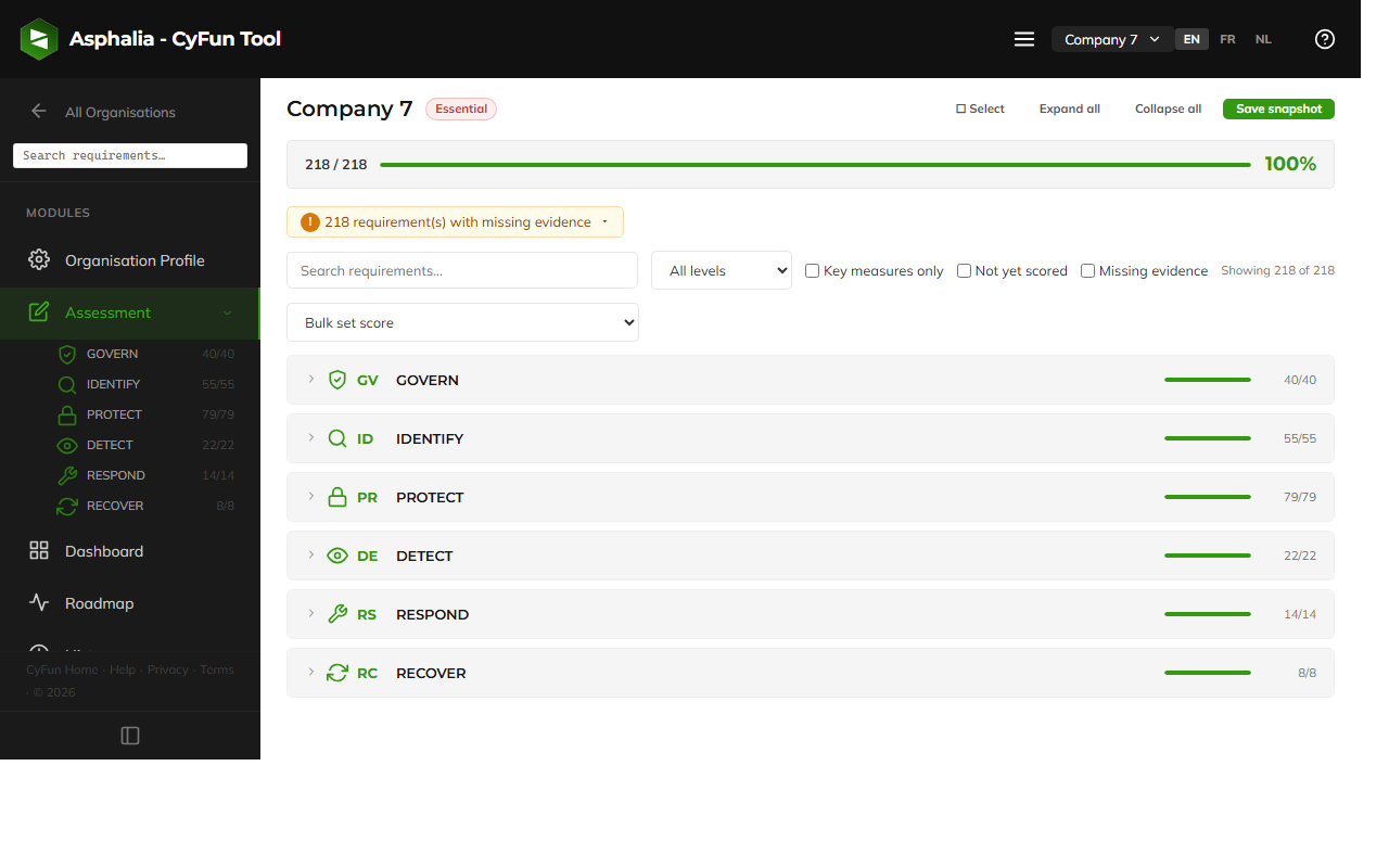 Assessment page showing all six NIST functions with scoring progress